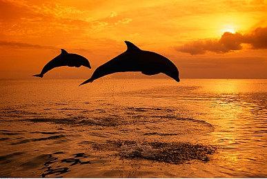 DF称PSSR在多个方面超越了FSR 3.1